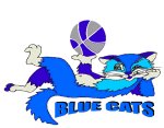 Blue Cats Ieper relève le défi