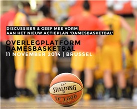 Un séminaire sur le basket féminin en Flandres le 11 novembre