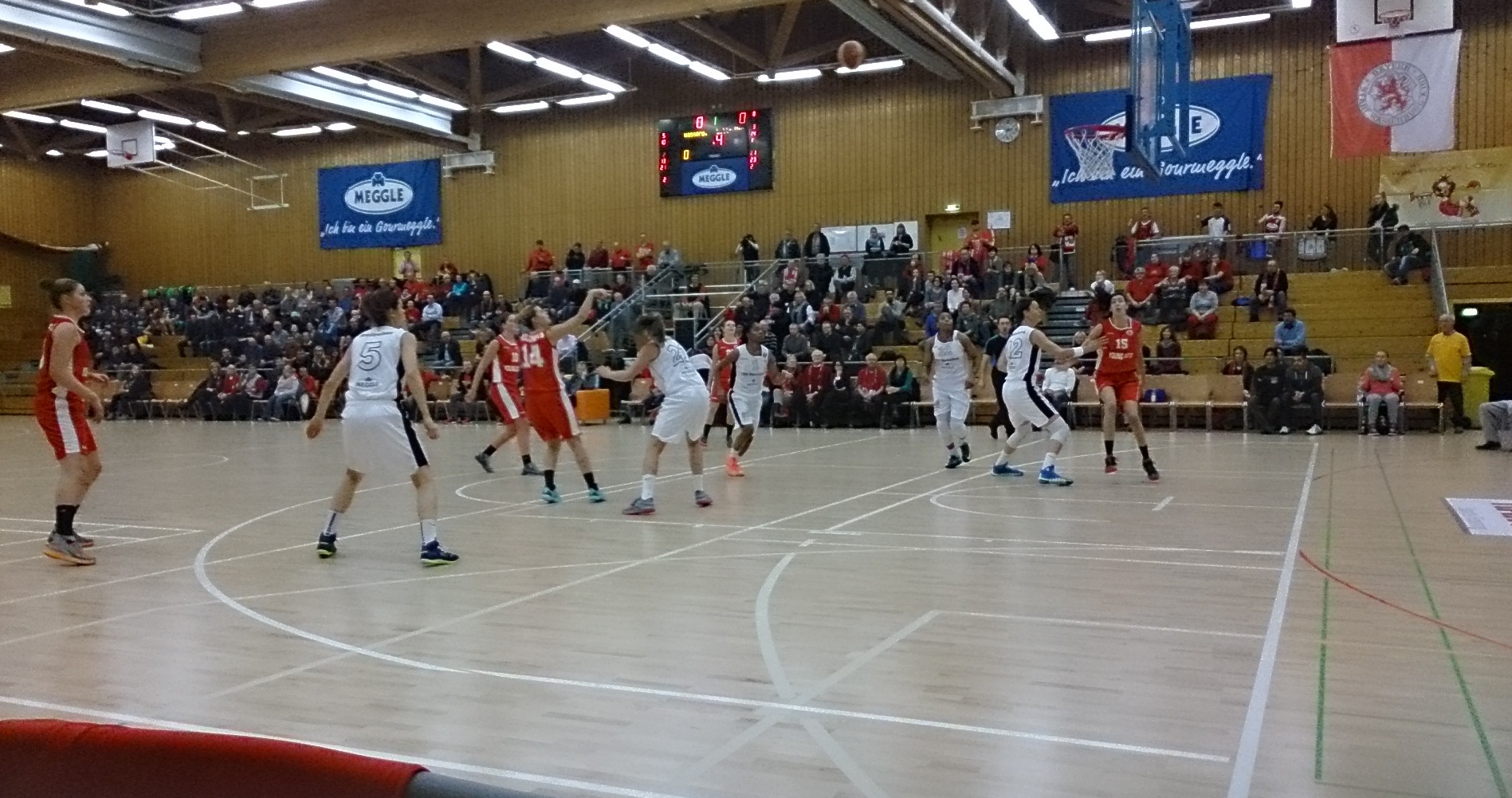 Eurocup - Les Young Cats s'inclinent 86-63 à Wasserburg