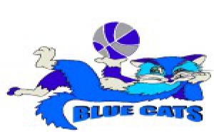 Blue Cats Ieper en division I !