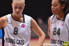 Young Cats / Nantes 02/12/2015 - King Chan 2633